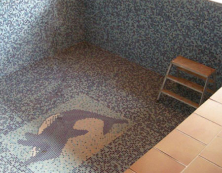 ARDEX AB