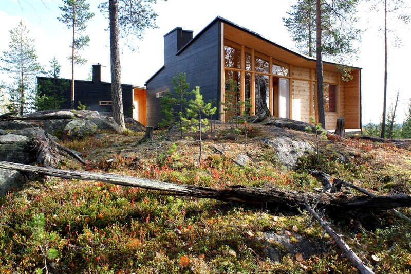 Hirsiset