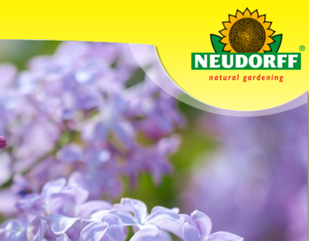 Neudorff
