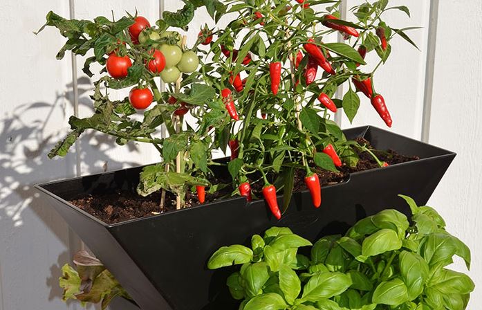excellentgarden-bilder